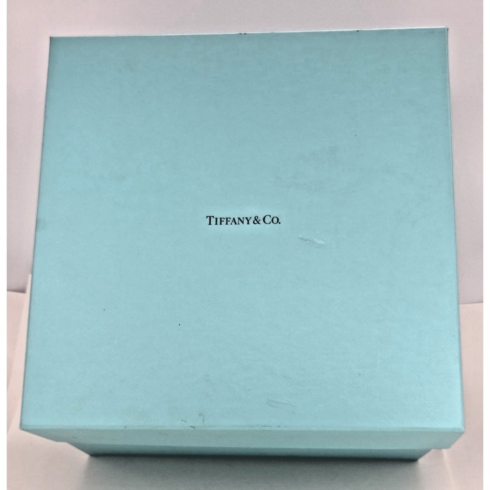 Set 2 Tiffany Co Barware Crystal Martini Glasses 6 7/8" Tall w Box & Stickers